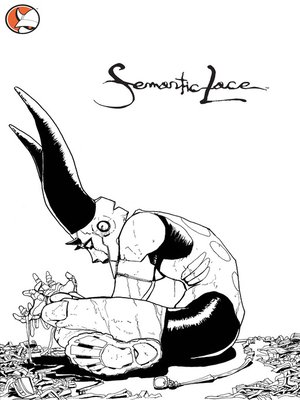 cover image of Semantic Lace, Volume 4